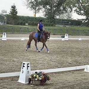 Meet your Posher, Irene